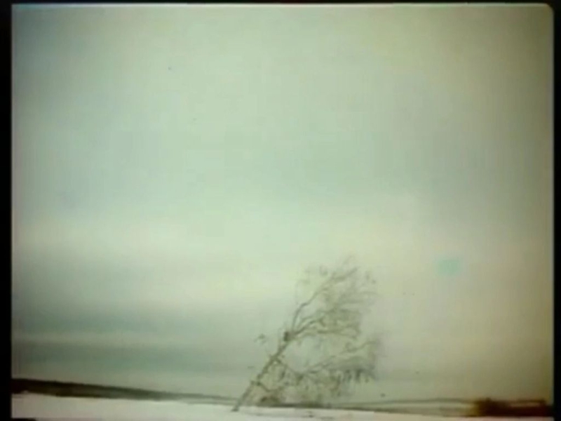 Якутское кино: о чем зовут Земля и призраки?