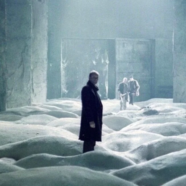 Как «Смешарики» остаются популярными уже 20 лет?