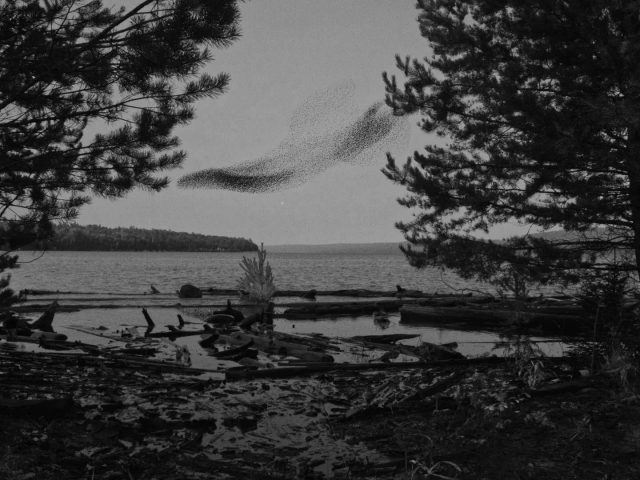 «Patriki Film Festival – 2023»: победители кинофестиваля