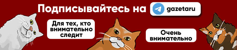 Свинолюды: китайские биологи создали эмбрион-химеру свиньи и человека