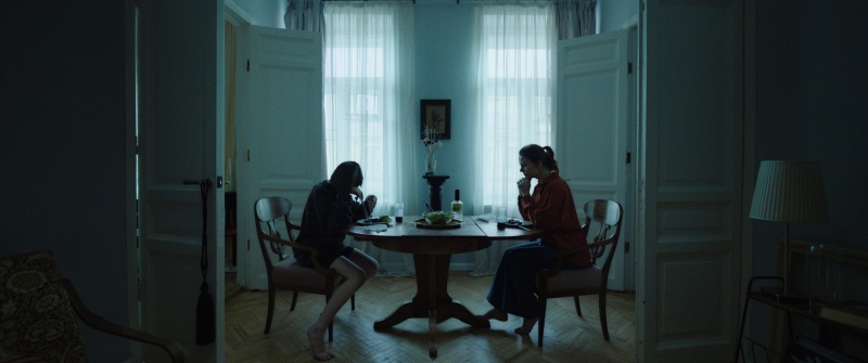 Где и когда пройдет кинофестиваль «Зимний»