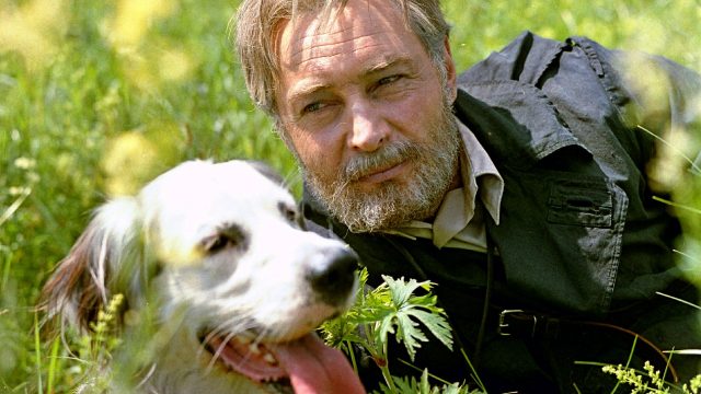 10 знаменитых животных-актеров, которых мы все обожаем