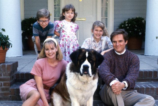 10 знаменитых животных-актеров, которых мы все обожаем