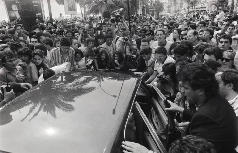 Скандалы и интриги: чем интересен фильм «Канны: режиссерская версия»